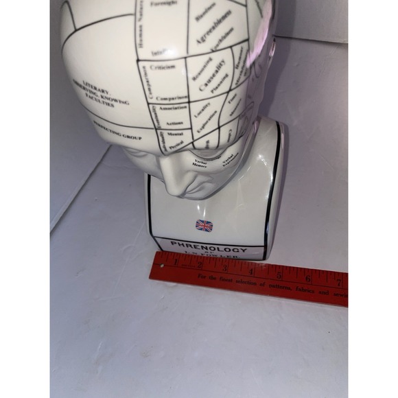 Phrenology Head Psychology L.N. Fowler, Royale Stratford Hand Made England - Picture 15 of 16